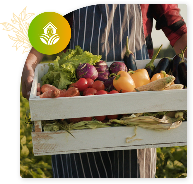 DK Global Agro-Commodities